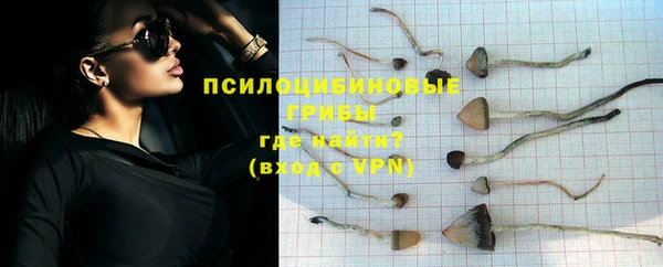 соль ск Аркадак