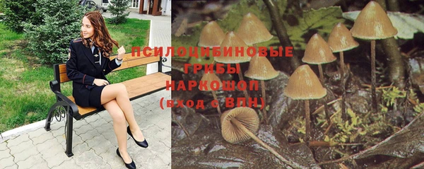 соль ск Аркадак