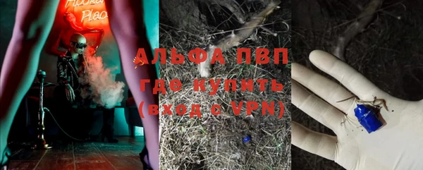 ПСИЛОЦИБИНОВЫЕ ГРИБЫ Армянск