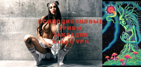 ПСИЛОЦИБИНОВЫЕ ГРИБЫ Армянск
