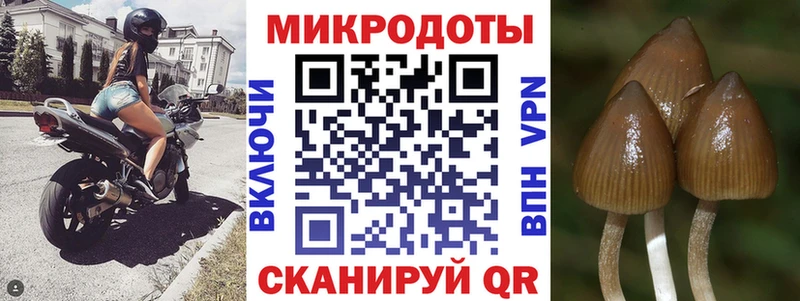 Псилоцибиновые грибы Magic Shrooms  мега зеркало  Мамоново  закладки 